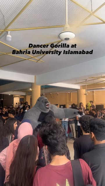 K Events gorilla appearance at a university gathering